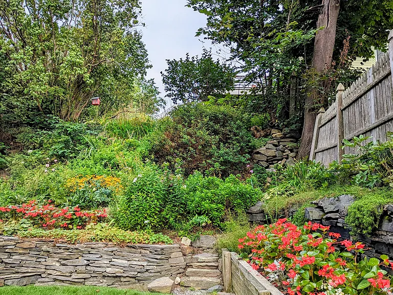 More shared garden view.