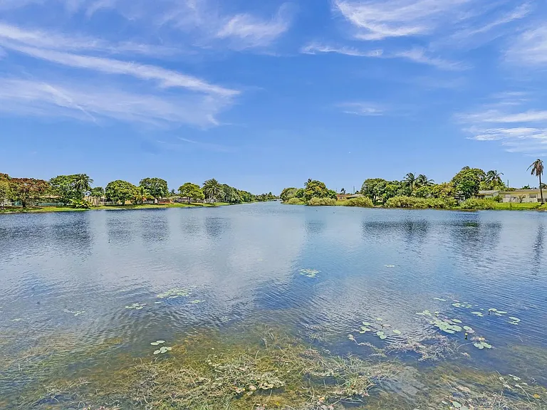 Lake Views