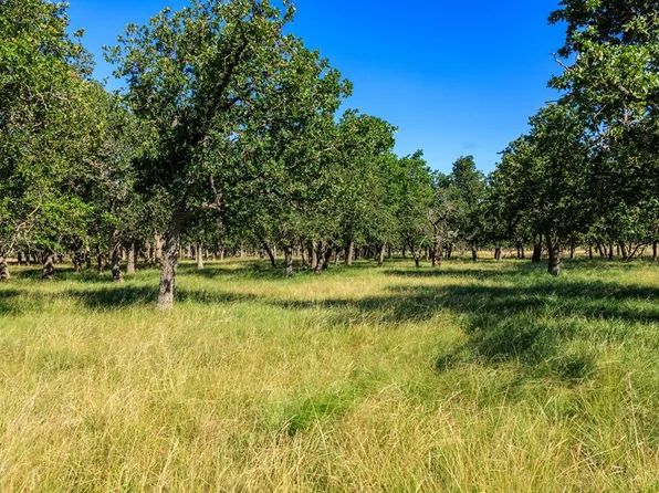 7 Kopper Kettle Ln, Fredericksburg, TX 78624