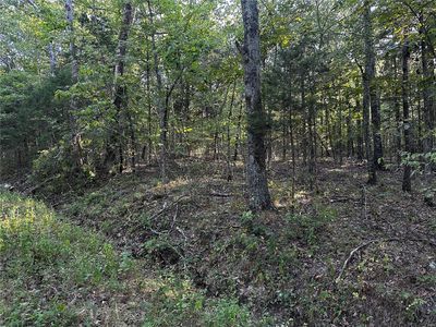 0 Fox Ln, Bonne Terre, MO, 63628