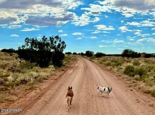 7668 Kasias Trl #2, Snowflake, AZ 85937