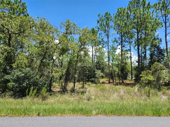 SW Beach Blvd Lot 59, Dunnellon, FL 34431