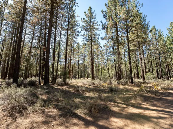 225 Cougar Way, Portola, CA 96122