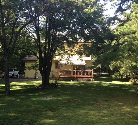 Back Lawn and Deck in Summer