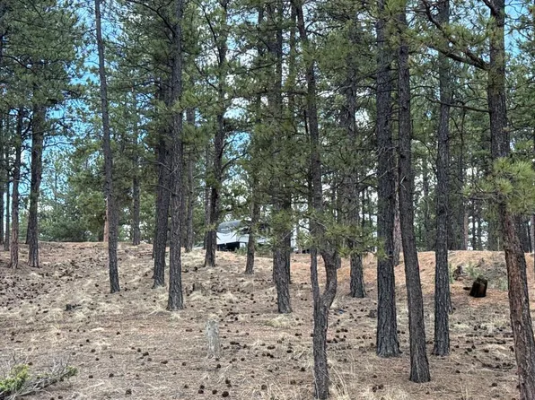 434 Blue Mountain Dr, Florissant, CO 80816