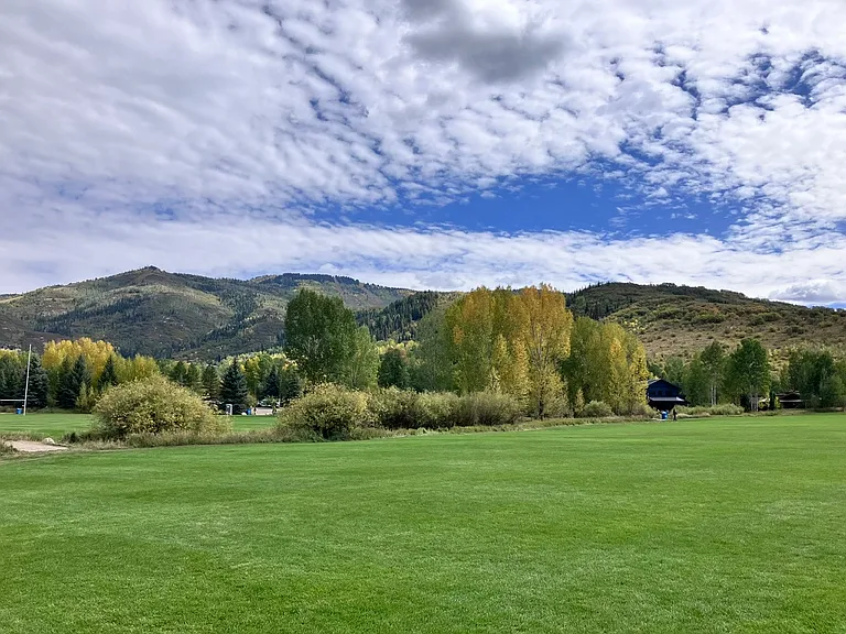 Whistler Park; 3/10 of a mile from condo.