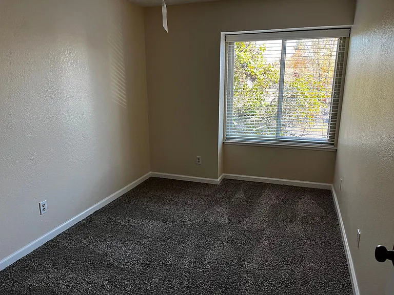 6203 Ackland Ct — Photo 9