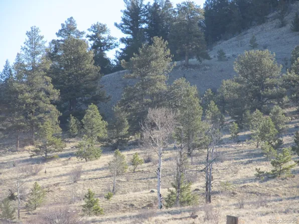 Lot 5896 Cohonina Road LOT 5896, Hartsel, CO 80449