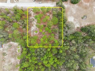 13409 Cormorant Rd, Brooksville, FL 34614