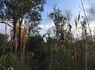 11-2009 Ohialani Rd LOT 32, Volcano, HI 96785