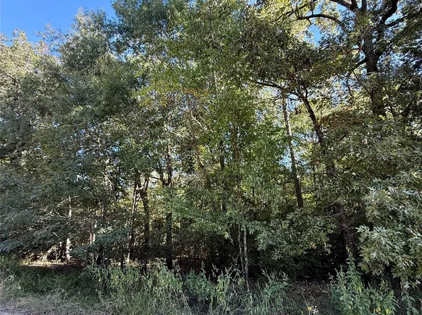 N/a Tomahawk Trl Lot 87, Livingston, TX 77351