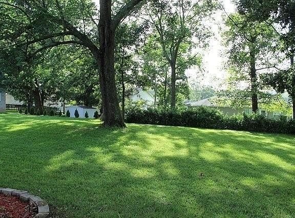 Relaxing back yard
