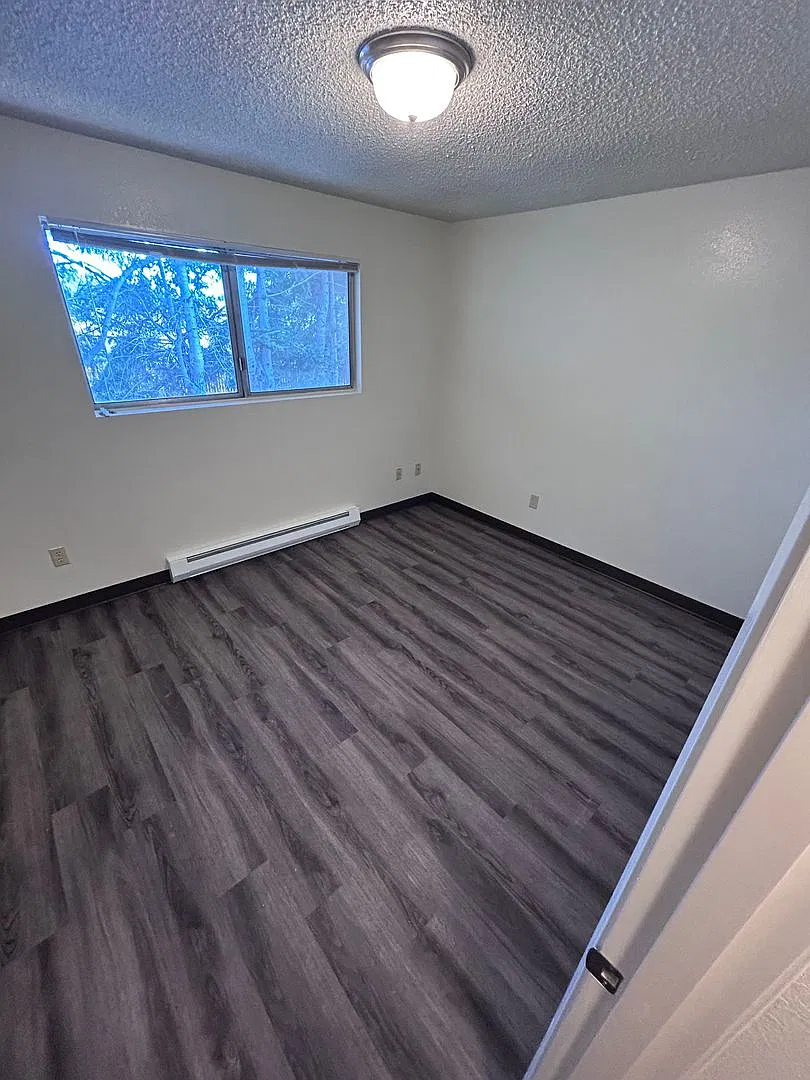 2 bed, 750 sqft, $1,250 — Photo 4