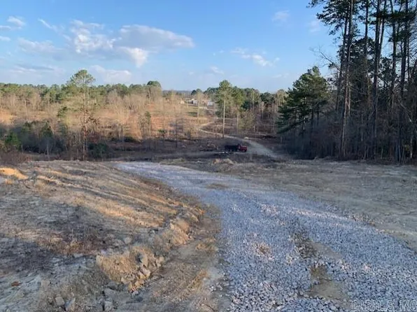 TRACT 2 Highway 11395 #84, Bismarck, AR 71929