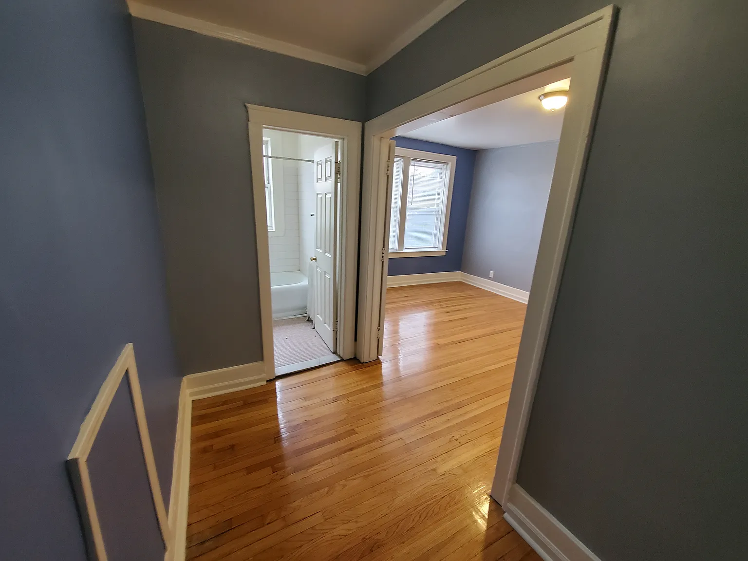Studio, 550 sqft, $850 — Photo 4