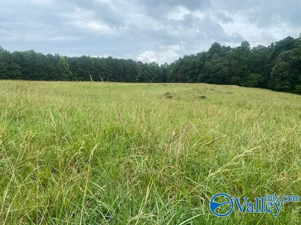 10A Thornhill Rd, Boaz, AL 35956