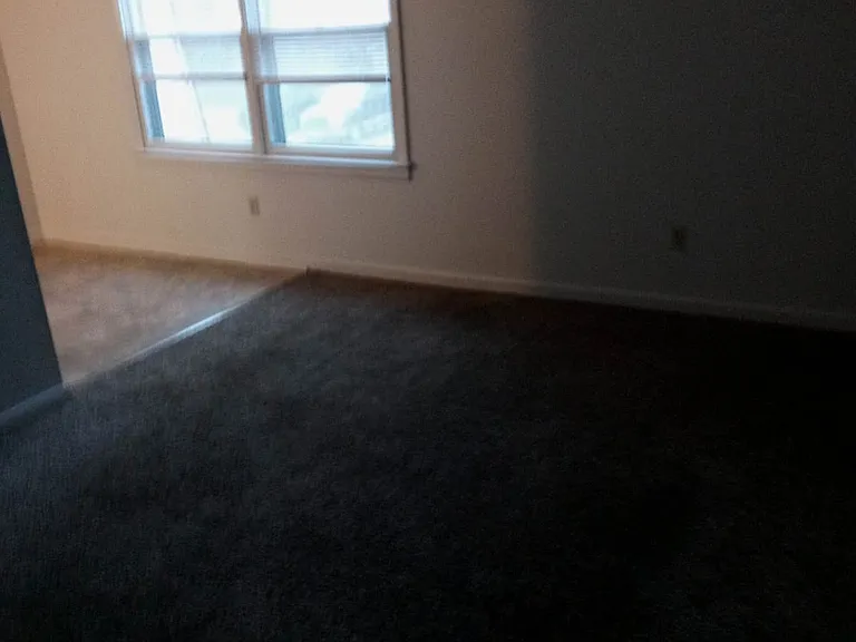 1461 Dogwood Dr — Photo 4