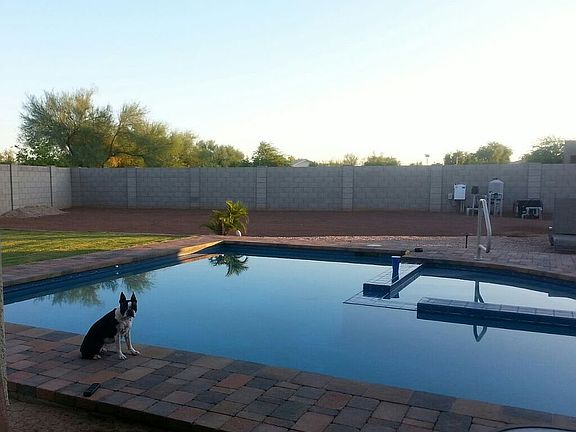 Ginger loves her yard....