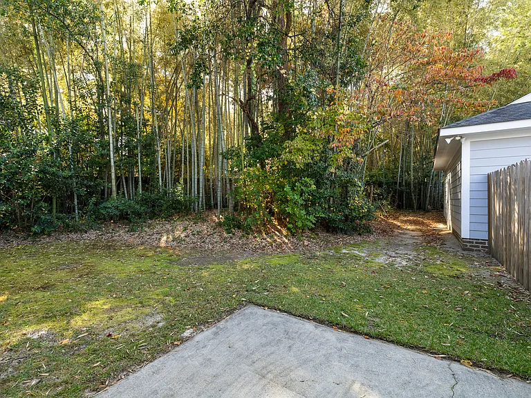 Backyard looking toward Bamboo trees and detached garage; fence gate is located to left
