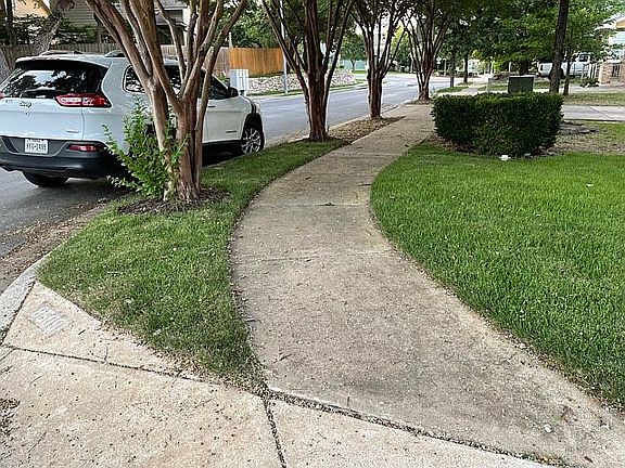 New grass