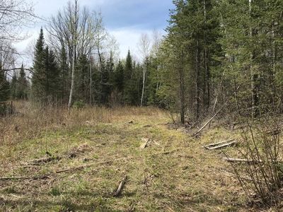Turtle Rapids Ln, Mercer, WI, 54547
