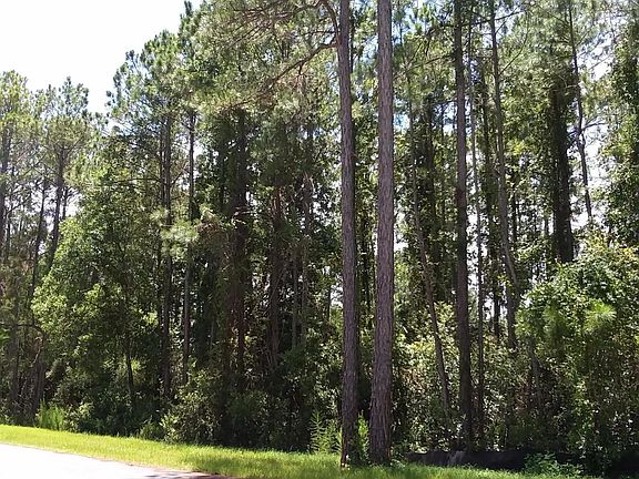 2nd image of 12 Blue Gulf Dr