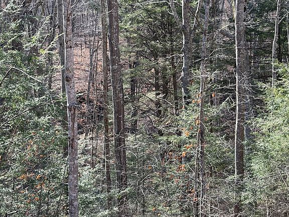 5th image of 7041 State Route 1092