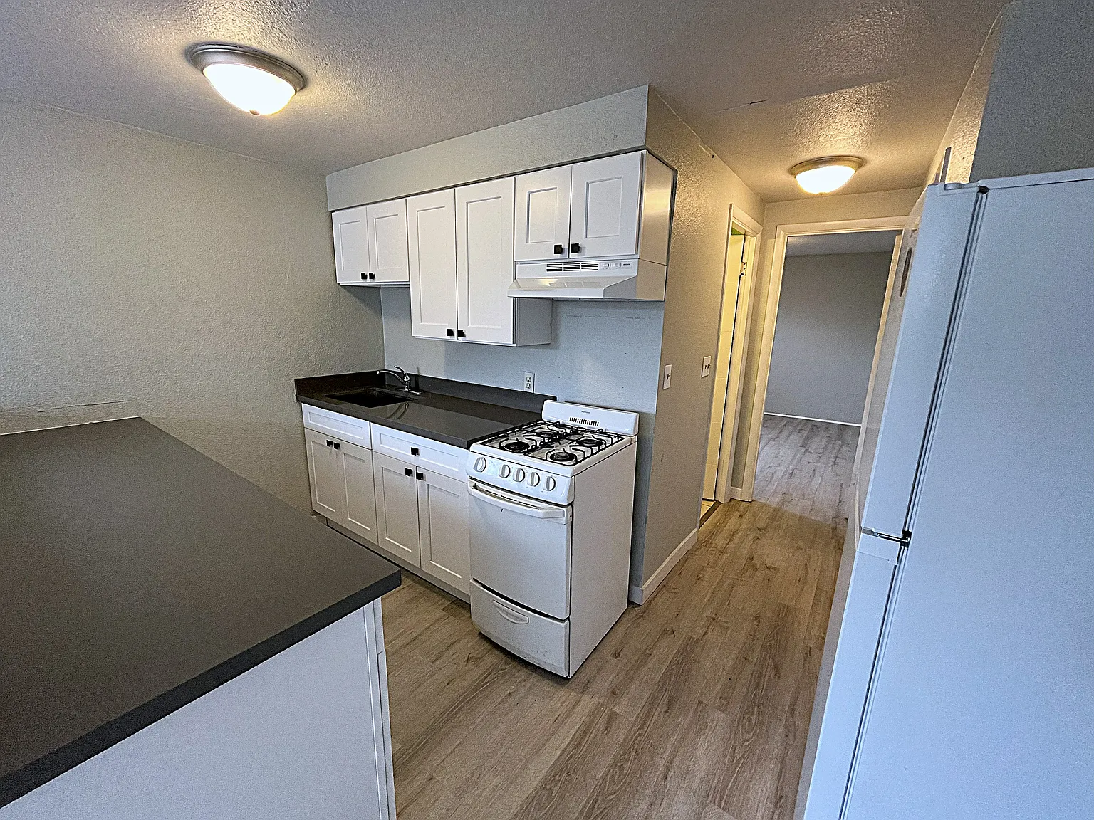 1 bed, 400 sqft, $1,395 — Photo 3