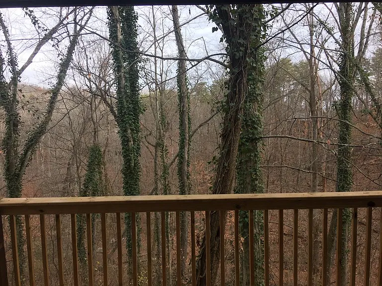 945 Wildwood Garden Dr — Photo 16