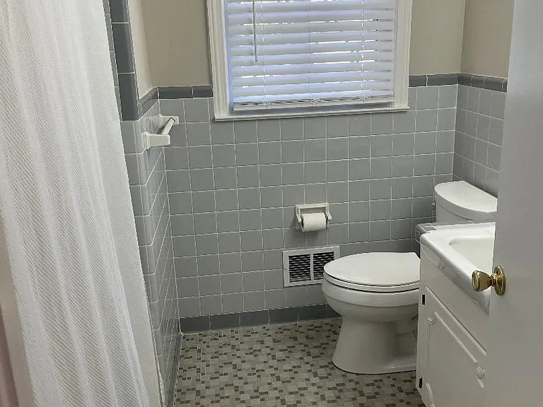 Hall bathroom