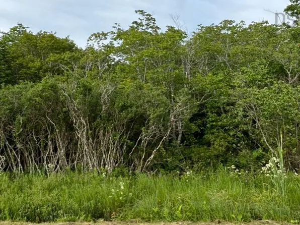 Highway 1, Church Pt, NS B0W