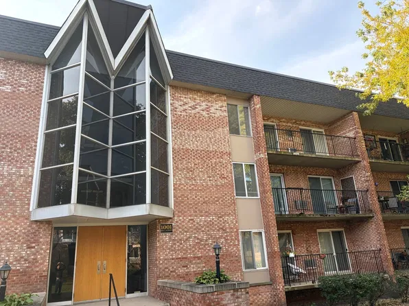 1001 N Mill St APT 307, Naperville, IL 60563