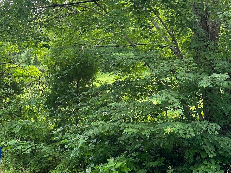 2nd image of Tbd Carden Hollow Rd
