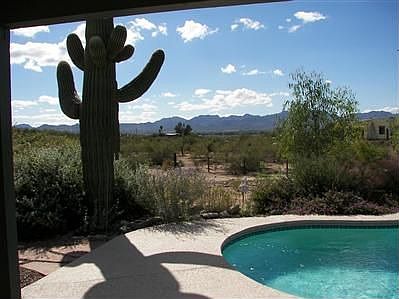 Backyard Pool and Saguaro
