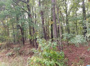 417 Tomahawk Trl #53, Riverside, AL 35135