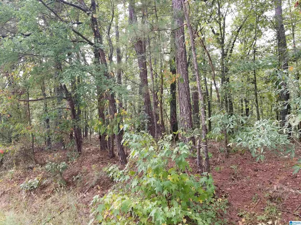 417 Tomahawk Trl #53, Riverside, AL 35135