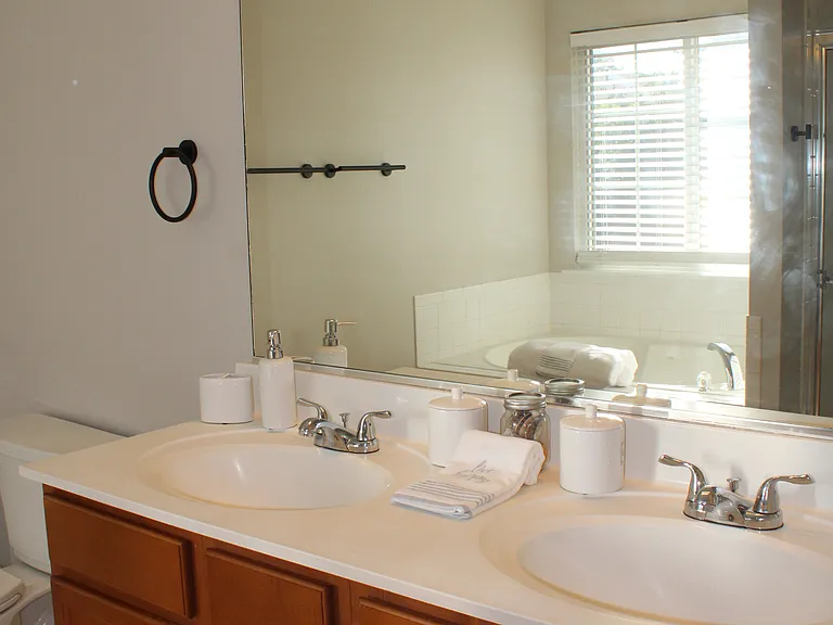 Double bowl Sink in Primary bath