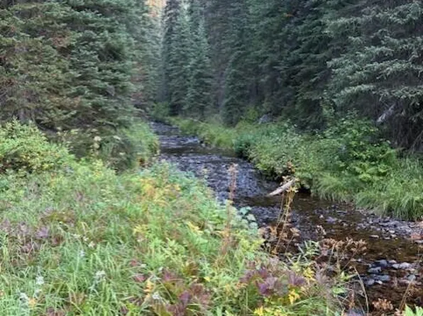 NW Eighty Pack Creek Rd, Elk City, ID 83525