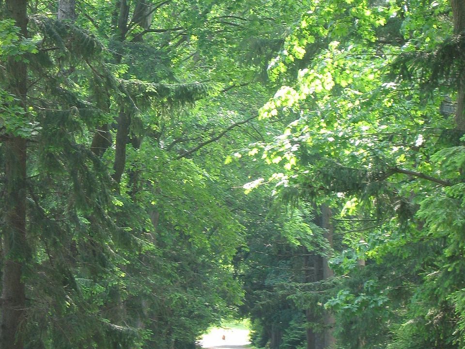 252 Middlesex Ave, Chester, CT 06412 Zillow