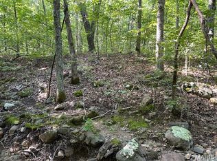 1 Lori Ln, Ironton, MO 63650
