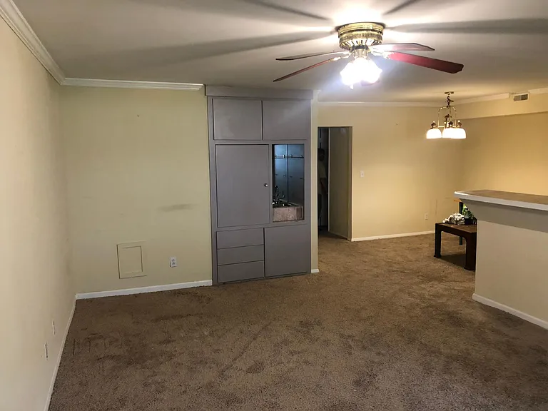 7519 Spring Lake Dr #C1 — Photo 13