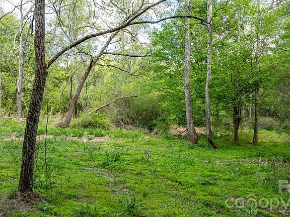 4th image of 256 Long Leaf Pine Dr