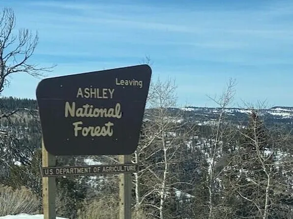 11928 State Highway 191 #11-0928, Duchesne, UT 84021