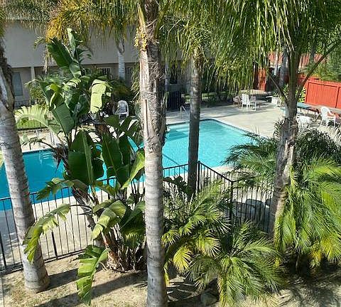 Lush palm trees