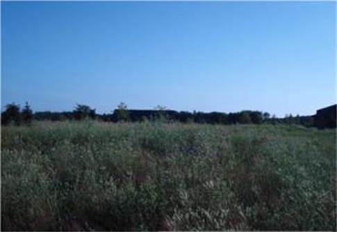 Builders and plans must have architectual approval