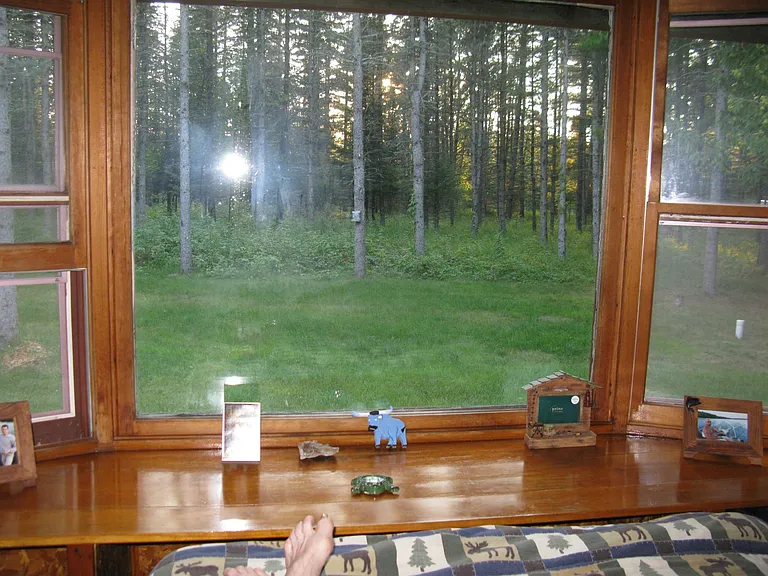 Fireside Room with a View to the Woods. View to the West