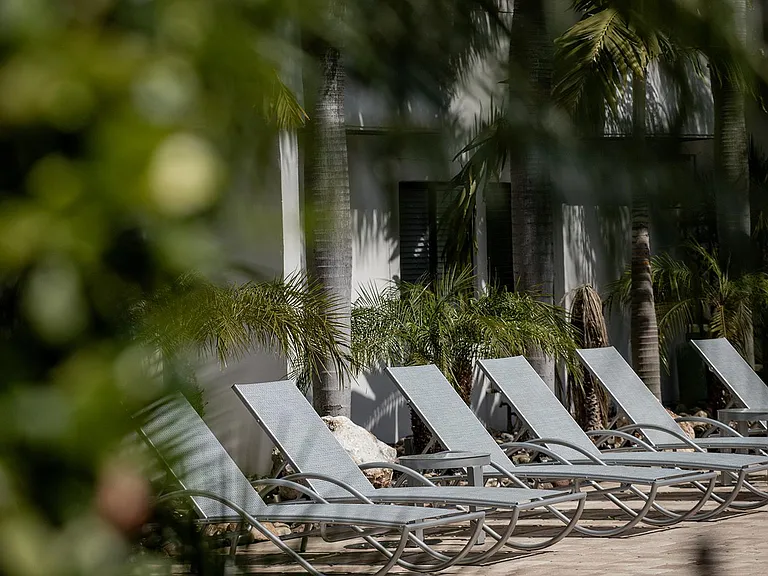 Innovo Living Hyde Park- Palma Ceia — Photo 14