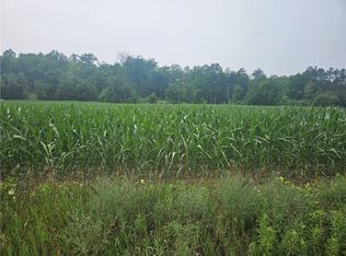 LOT 1 Sheptick Ln, Hayward, WI 54843