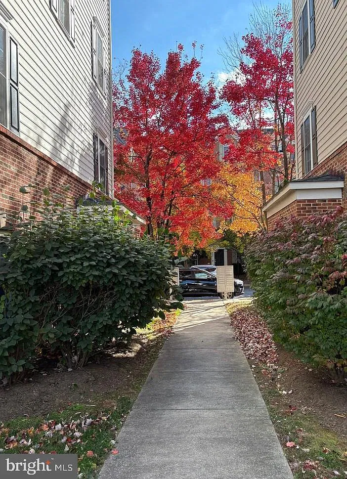 3 bed, 2.5 bath, 2894 sqft, $2,900 — Photo 3