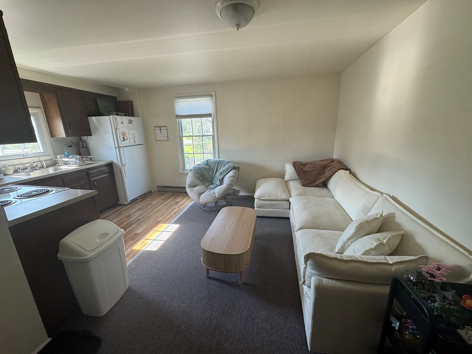 1 bed, 466 sqft, $900 — Photo 3